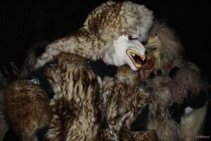 Nachtumzug Calw 2023