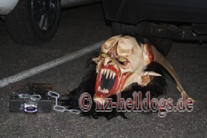 Bilder Nachtumzug Selz 2023