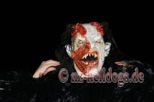 Bilder Nachtumzug Selz 2023