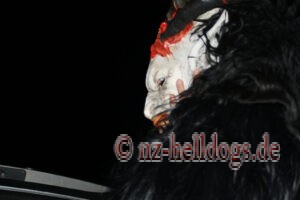 Bilder Nachtumzug Selz 2023