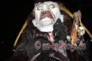 Bilder Nachtumzug Selz 2023