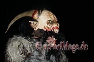 Bilder Nachtumzug Selz 2023