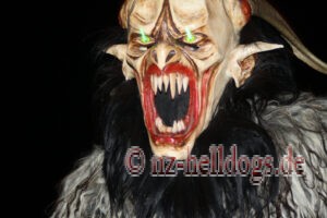 Bilder Nachtumzug Selz 2023