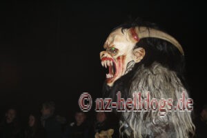 Bilder Nachtumzug Selz 2023