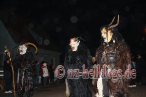 Bilder Nachtumzug Selz 2023