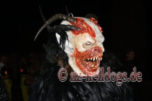 Bilder Nachtumzug Selz 2023