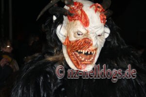 Bilder Nachtumzug Selz 2023