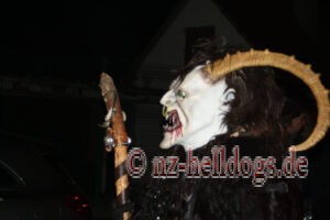 Bilder Nachtumzug Selz 2023