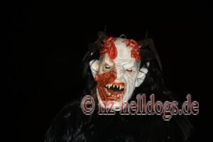 Bilder Nachtumzug Selz 2023