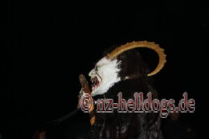 Bilder Nachtumzug Selz 2023