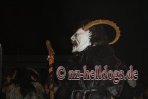 Bilder Nachtumzug Selz 2023