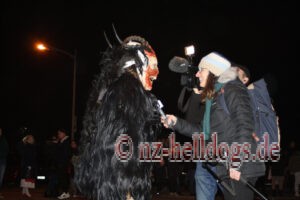 Bilder Nachtumzug Selz 2023