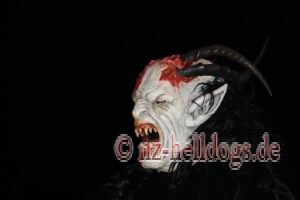 Bilder Nachtumzug Selz 2023