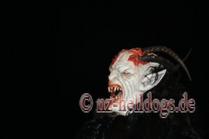 Bilder Nachtumzug Selz 2023